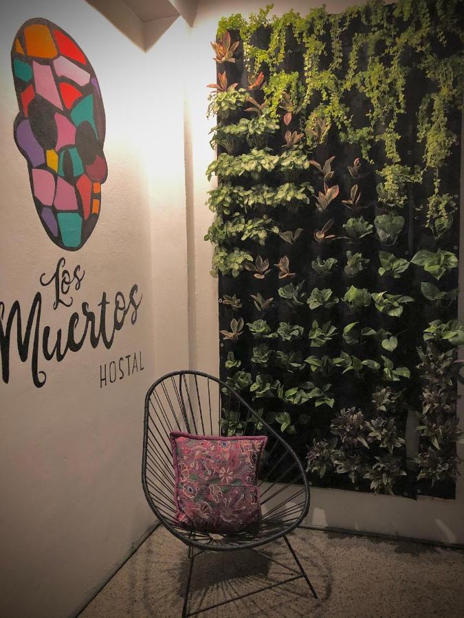 Los Muertos Hostal Puerto Vallarta Exteriér fotografie