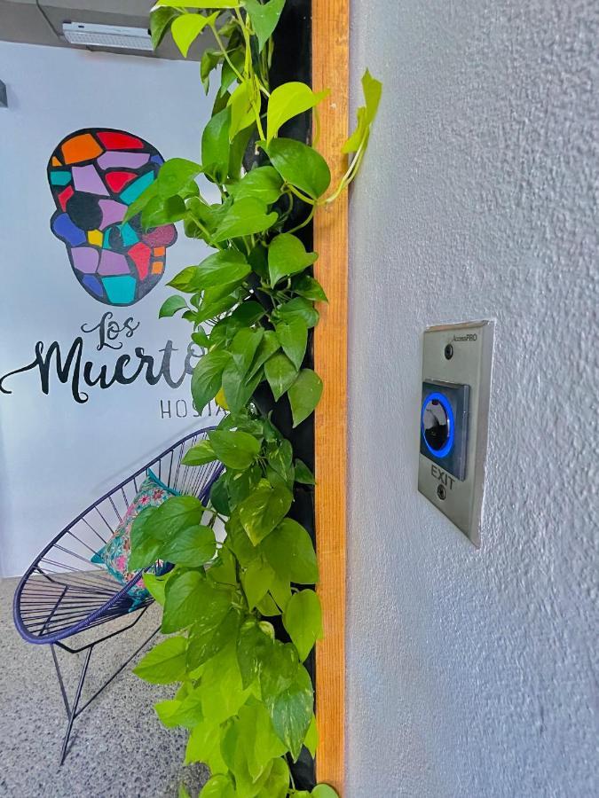 Los Muertos Hostal Puerto Vallarta Exteriér fotografie